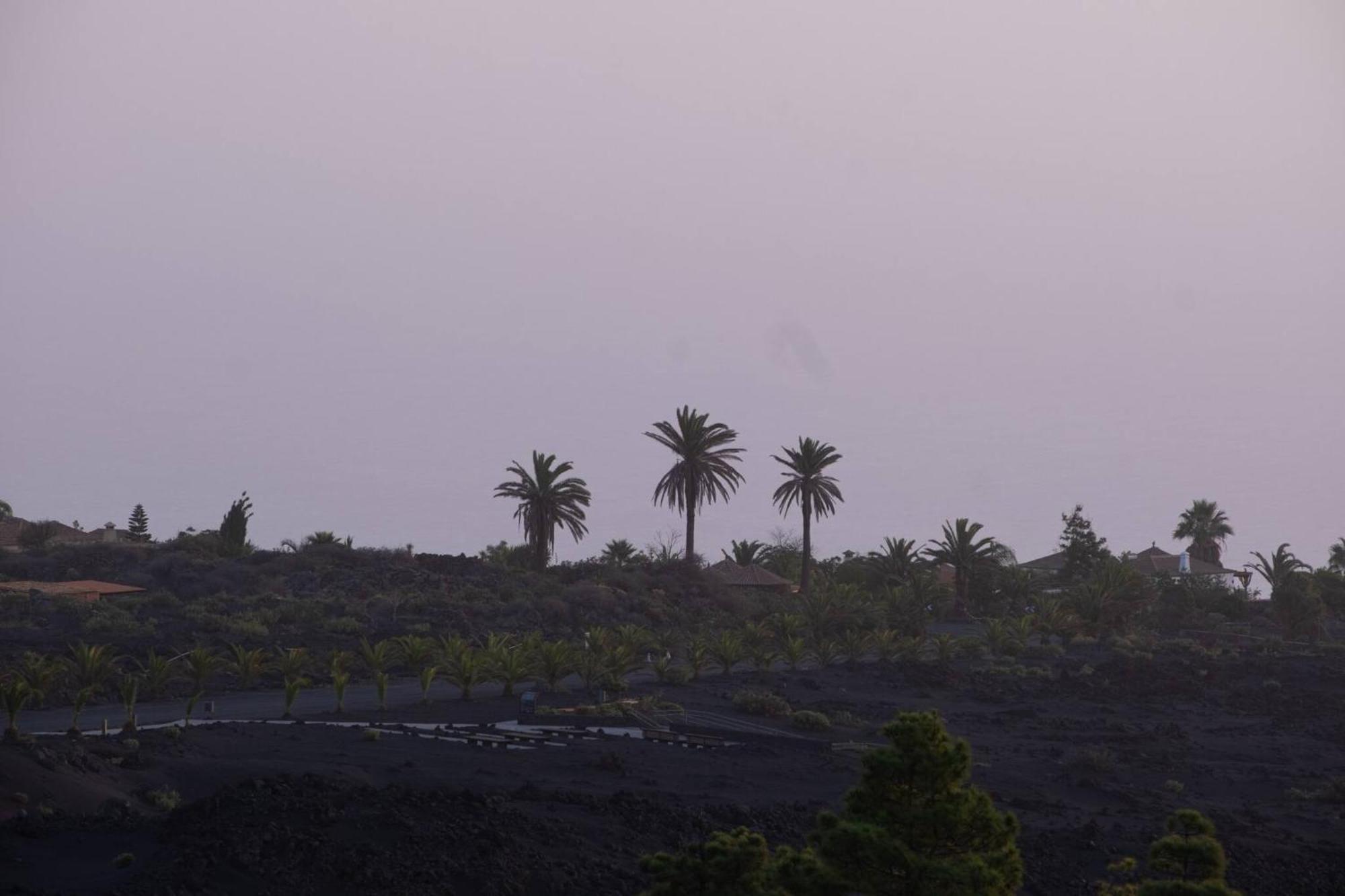 Finca Las Huellas - Moderno Apartamento Con Vistas Al Mar Y Al Volcan ลอสยานอส เด อารีดาเน ภายนอก รูปภาพ